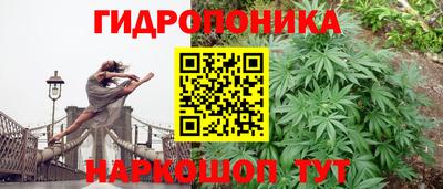 PSILOCYBIN Туймазы