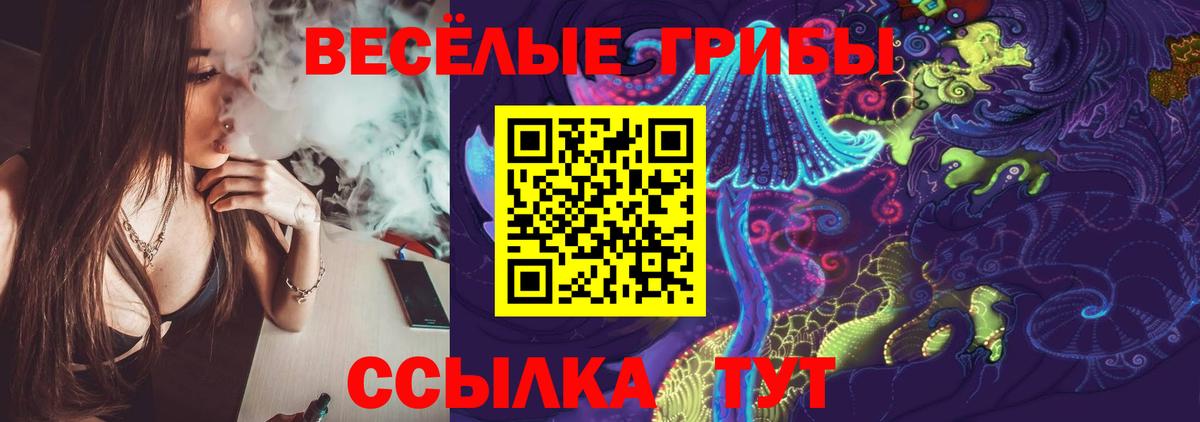 Наро-Фоминск  Псилоцибиновые грибы Psilocybe  где можно купить   Вход с VPN 